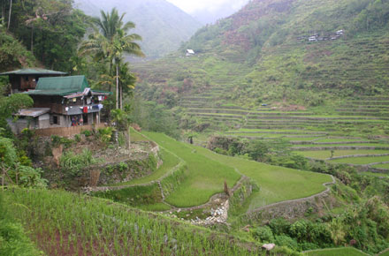 The Philippines, Banaue Rice Terraces, , Walkopedia