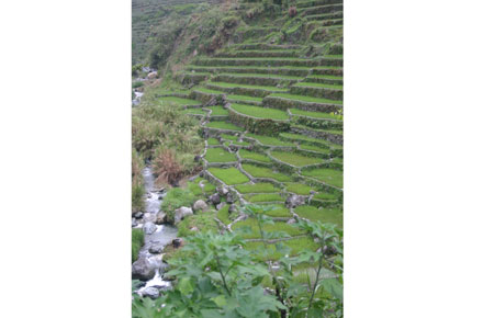 The Philippines, Banaue Rice Terraces, , Walkopedia