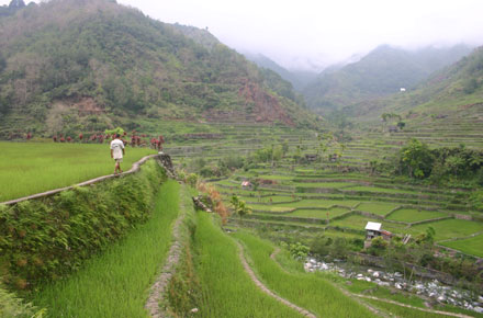 The Philippines, Banaue Rice Terraces, , Walkopedia