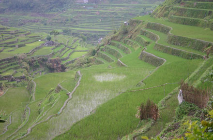 The Philippines, Banaue Rice Terraces, , Walkopedia