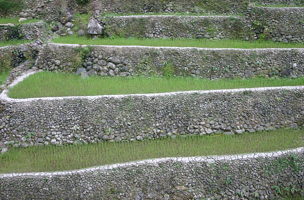 The Philippines, Banaue Rice Terraces, , Walkopedia