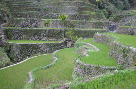 The Philippines, Banaue Rice Terraces, , Walkopedia