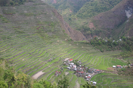 The Philippines, Banaue Rice Terraces, , Walkopedia