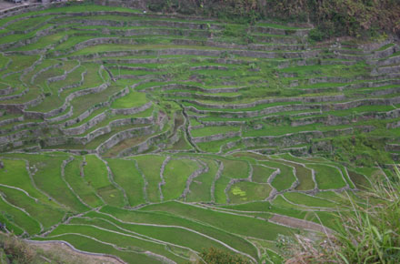 The Philippines, Banaue Rice Terraces, , Walkopedia