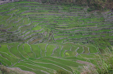 Banaue Rice Terraces
