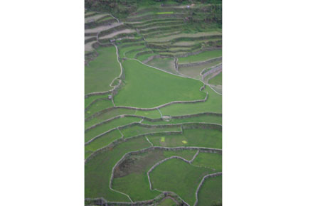 The Philippines, Banaue Rice Terraces, , Walkopedia