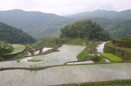 The Philippines, Banaue Rice Terraces, , Walkopedia