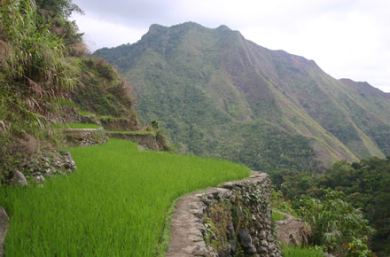 The Philippines, Banaue Rice Terraces, , Walkopedia