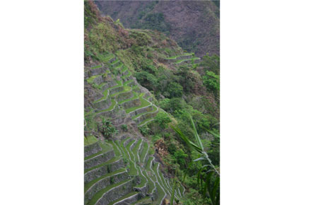 The Philippines, Banaue Rice Terraces, , Walkopedia