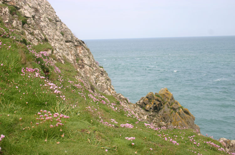 United Kingdom England South-west, South West Coast Path, , Walkopedia