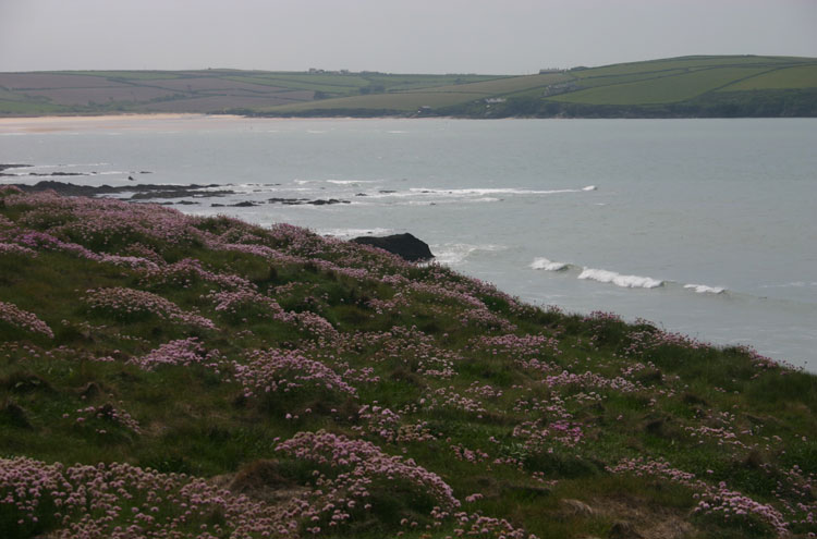 United Kingdom England South-west, South West Coast Path, , Walkopedia