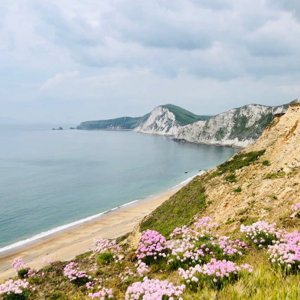 United Kingdom England South-west, South West Coast Path, Jurassic Coast, Walkopedia