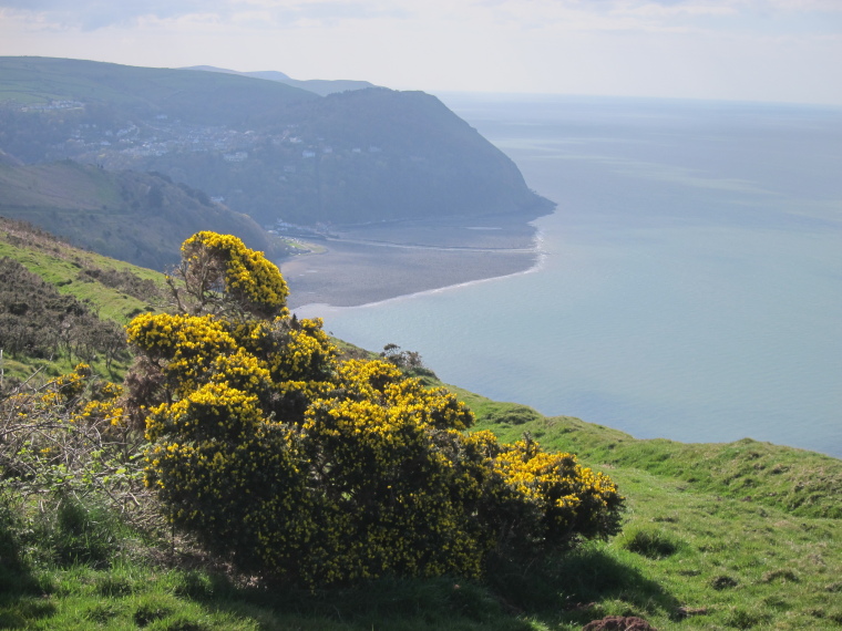 South West Coast Path: Looking west from Foreland Point, across Lynmouth bay, N DEvon - © William Mackesy