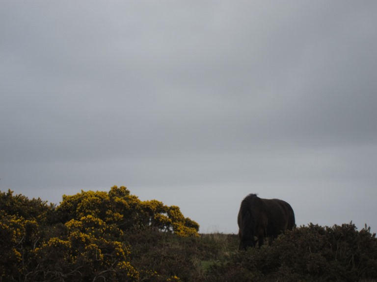 United Kingdom England South-west, South West Coast Path, , Walkopedia