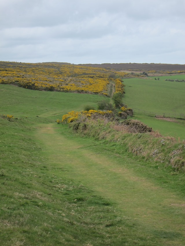 United Kingdom England South-west, South West Coast Path, , Walkopedia