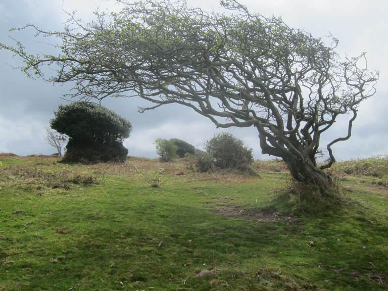 United Kingdom England South-west, South West Coast Path, Which way does the wind blow from?, Walkopedia