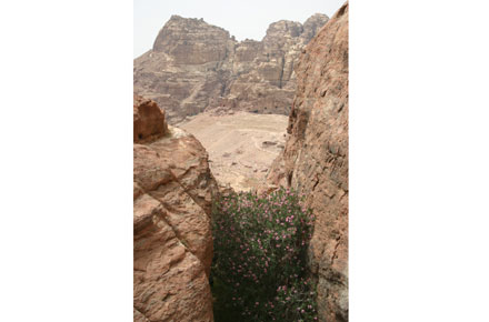 Jordan Petra, The High Place, The High Place - High Place left, obelisk hewn From top mountaintop, right, Walkopedia