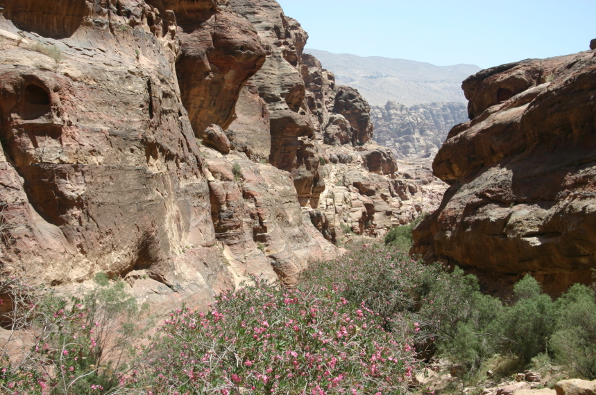 Jordan Petra, Al Deir (Monastery) Circuit, Basin appearing from Wadi Muaysra, Walkopedia