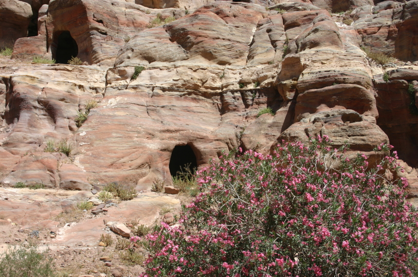 Jordan Petra, Al Deir (Monastery) Circuit, , Walkopedia