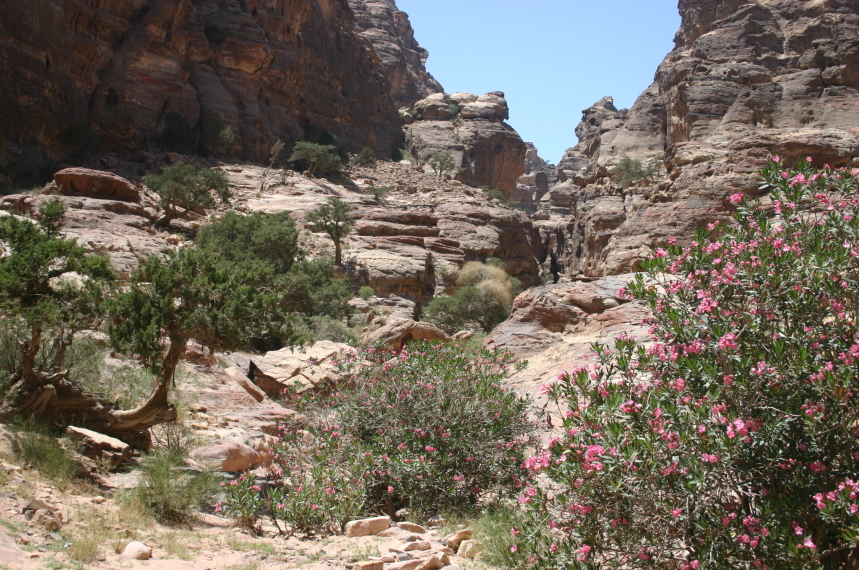 Jordan Petra, Al Deir (Monastery) Circuit, Wadi Muaysra, Walkopedia