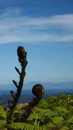 New Zealand South Island, Abel Tasman Coastal Trek, Abel Tasman, Walkopedia