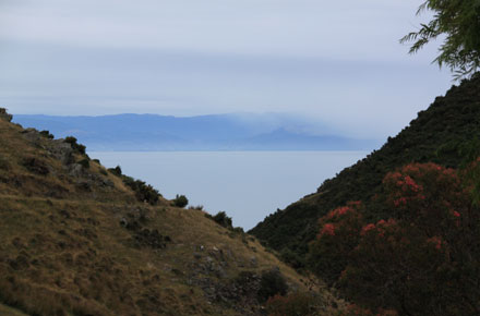 Cable Bay Walkway - - ©William Mackesy Cable Bay Walkway: Cable Bay Walkway - - ©William Mackesy