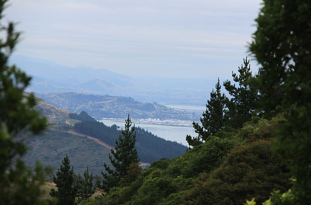 New Zealand South Island, Cable Bay Walkway, Cable Bay Walkway - , Walkopedia