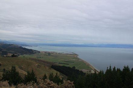 New Zealand South Island, Cable Bay Walkway, Cable Bay Walkway - , Walkopedia