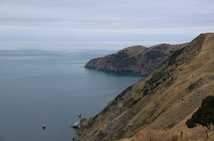 New Zealand South Island, Cable Bay Walkway, Cable Bay Walkway - , Walkopedia