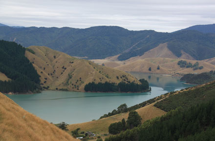 New Zealand South Island, Cable Bay Walkway, Cable Bay Walkway - , Walkopedia