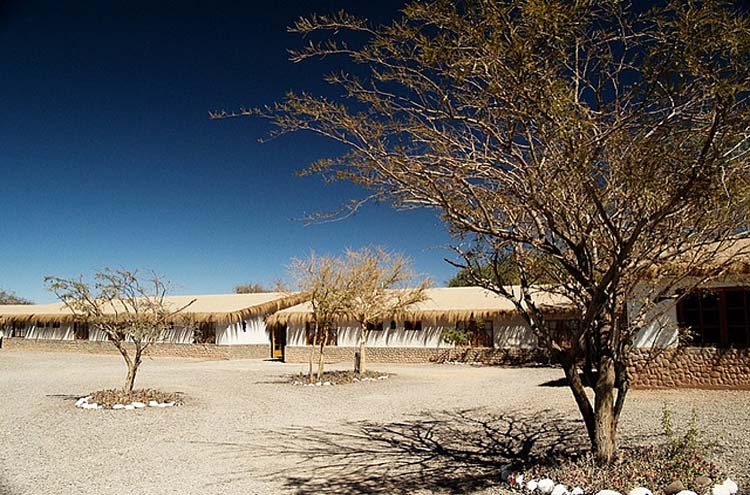 Chile, Atacama Desert, No rain but still trees, Walkopedia