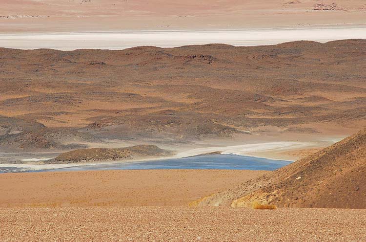 Chile, Atacama Desert, Salar de Tara, Atacama, Walkopedia