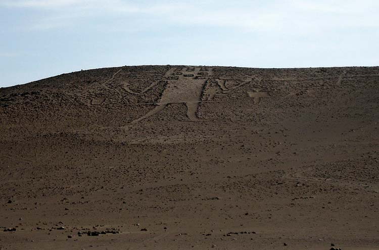 Chile, Atacama Desert, Atacama giant, Walkopedia