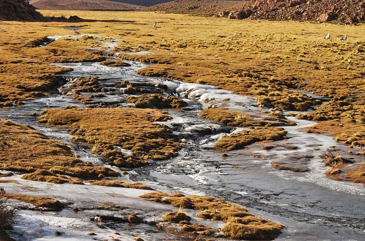 Chile, Atacama Desert, Atacama Rio Grande I think..., Walkopedia