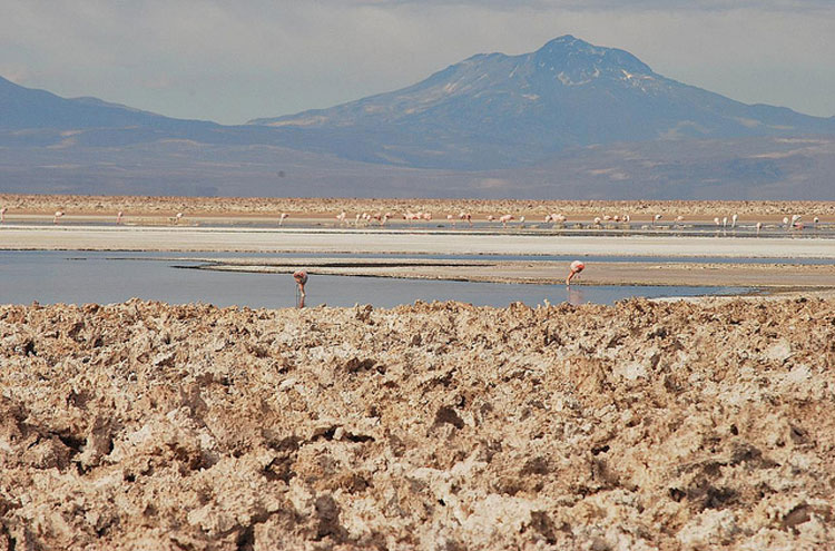 Chile, Atacama Desert, Atacama - ? From Flickr user Ana Raquel, Walkopedia