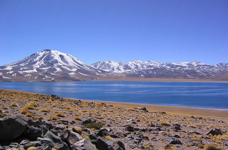 Chile, Atacama Desert, Laguna Miscanti - ? From Flickr user Phillie Casablanca, Walkopedia