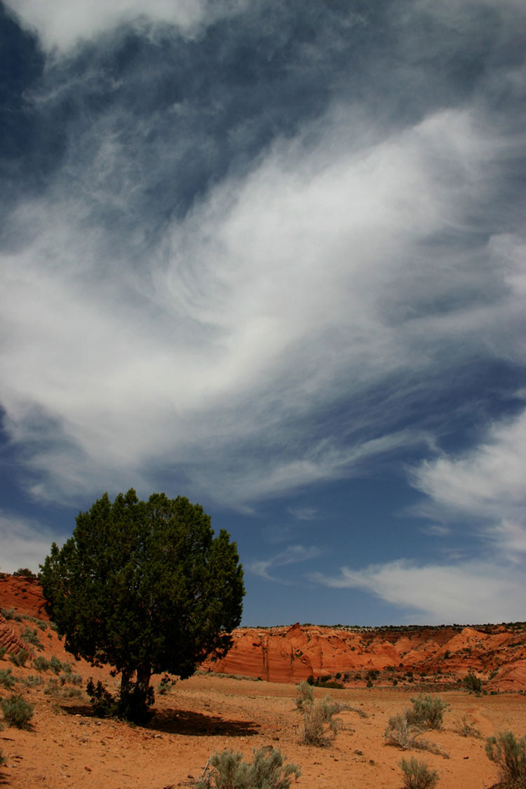 USA SW: Vermilion Cliffs, Buckskin Gulch and Paria Canyon, Buckskin Gulch Trail, Walkopedia