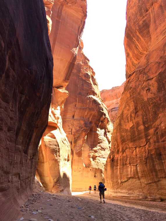 USA SW: Vermilion Cliffs, Buckskin Gulch and Paria Canyon, Paria Canyon, Walkopedia