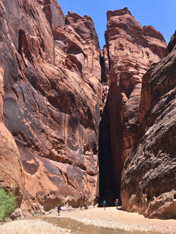 USA SW: Vermilion Cliffs, Buckskin Gulch and Paria Canyon, Paria Canyon, Walkopedia