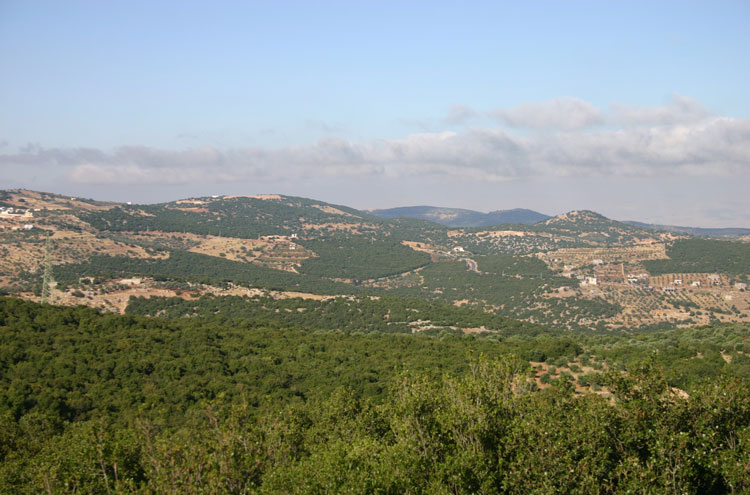 Jordan, Ajloun Woodland Reserve, Toward Mar Elias - by William Mackesy, Walkopedia