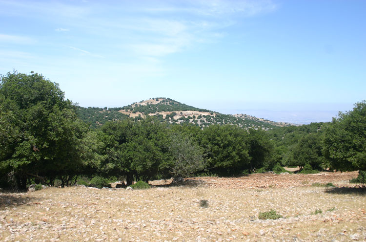 The Prophet's Trail: Mar Elias in the distance - by William Mackesy