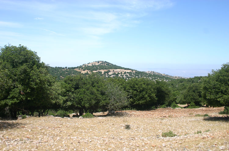 Jordan, The Prophet's Trail, Mar Elias in the distance - by William Mackesy, Walkopedia