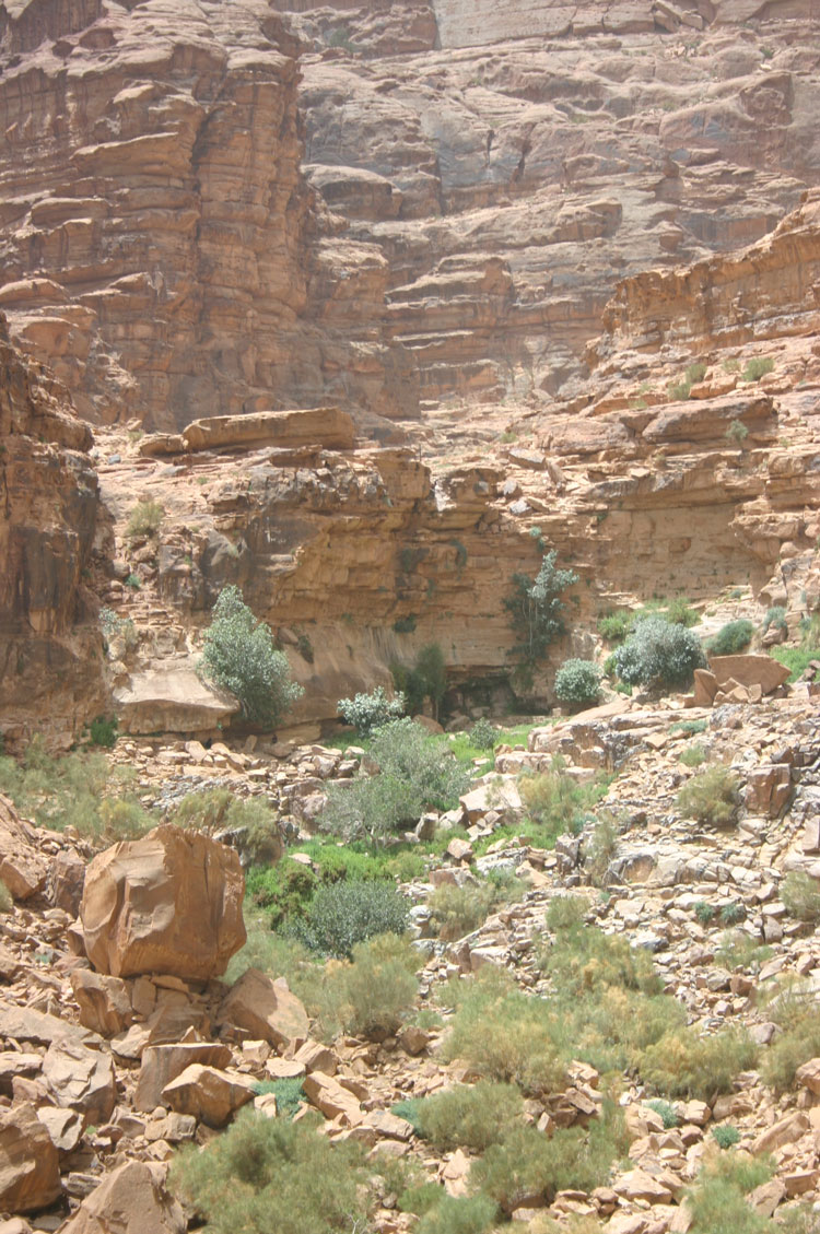 Jordan Wadi Rum, Lawrence's Spring, , Walkopedia