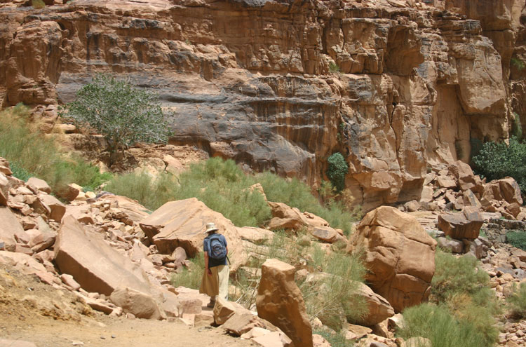 Jordan Wadi Rum, Lawrence's Spring, , Walkopedia