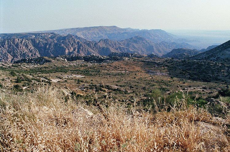 Jordan, Dana Area, Dana Nature Reserve - ? From Flickr user Philipp Dennert, Walkopedia