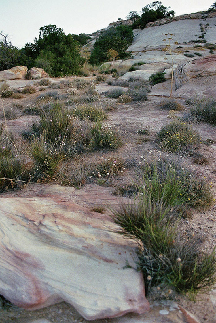 Jordan, Dana Area, Dana Nature Reserve - ? From Flickr user Philipp Dennert, Walkopedia