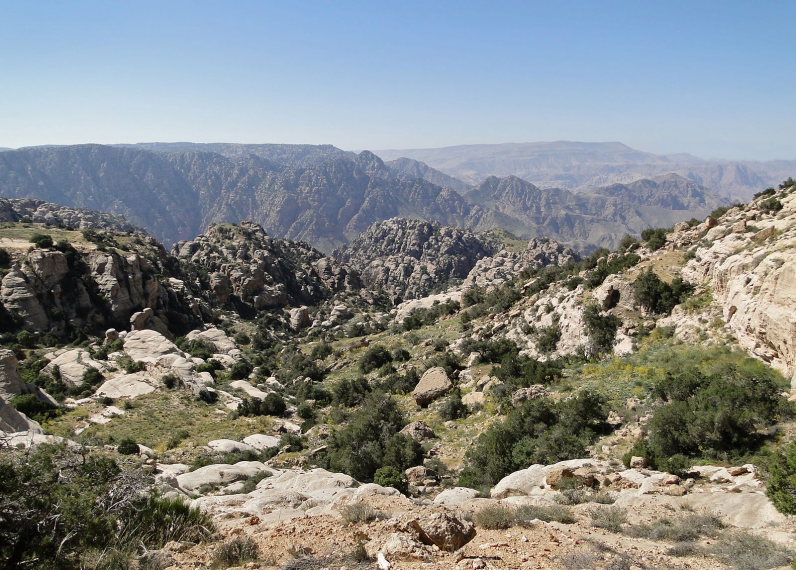 Jordan, Dana Area, Dana Reserve 1, Walkopedia