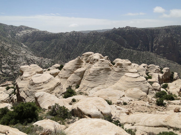 Jordan, Dana Area, Dana Reserve 2, Walkopedia