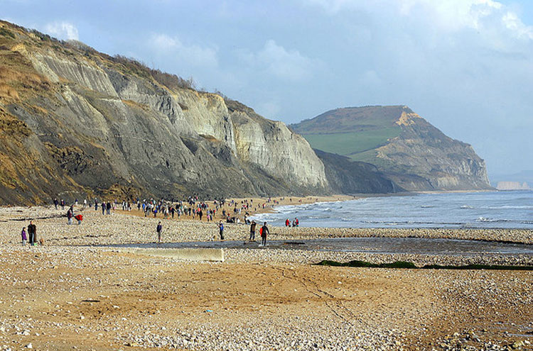 United Kingdom England South-west, Jurassic Coast, Fossil hunting, Charmouth, Walkopedia