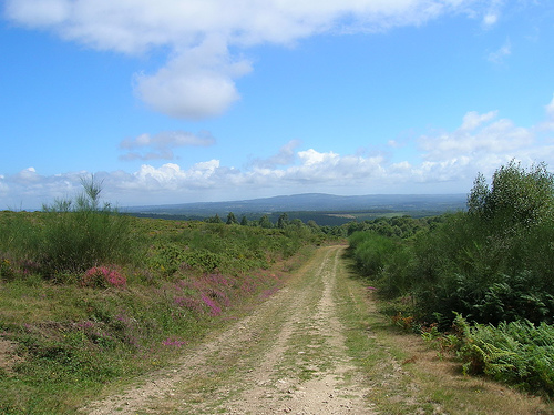 Camino Primitivo - © By Flickr user JuanJeitor Camino del Norte (Camino de Santiago alternative route): Camino Primitivo - © By Flickr user JuanJeitor
